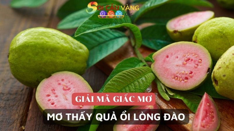 Mơ thấy quả ổi lòng đào