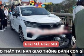  Giải mã giấc mơ thấy tai nạn giao thông là điềm báo gì?