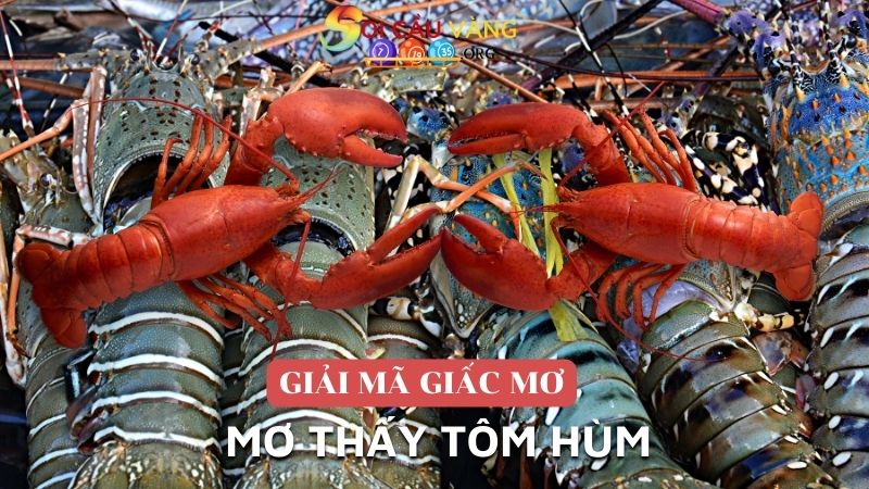 Mơ thấy tôm hùm