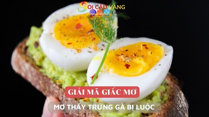 Mơ thấy trứng gà bị luộc là điềm gì?