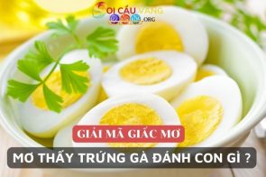 Nằm mơ thấy trứng gà đánh con gì để trúng đề?