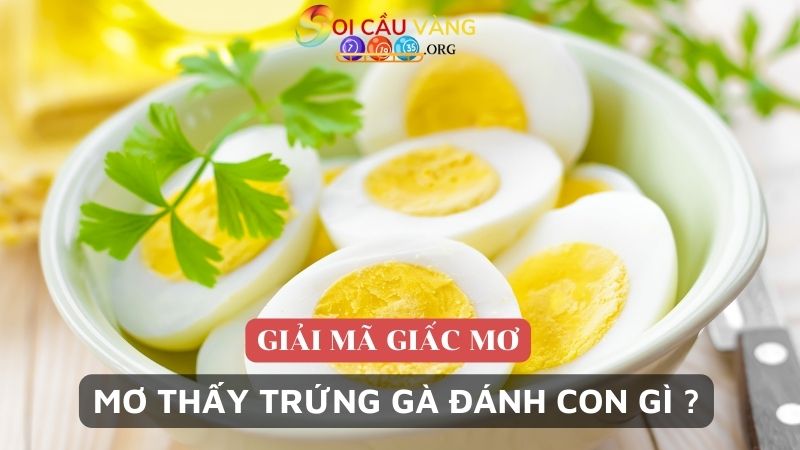 Mơ thấy trứng gà đánh con gì trúng đề?