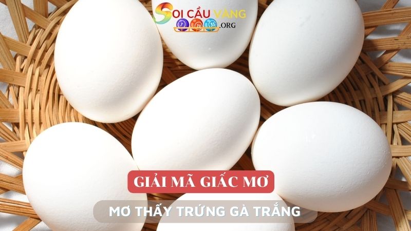 Mơ thấy trứng gà trắng