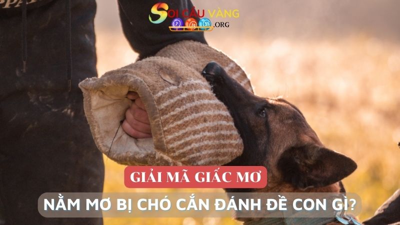 Nằm mơ bị chó cắn đánh đề con gì?