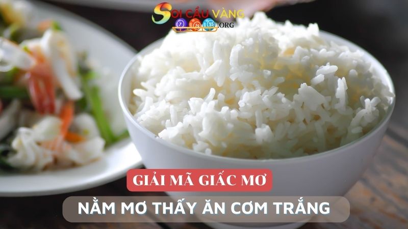 Nằm mơ thấy ăn cơm trắng