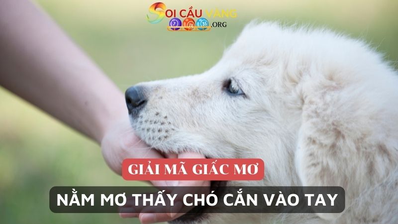 Nằm mơ thấy chó cắn vào tay