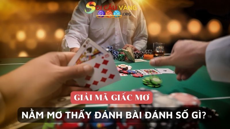 Bật mí nằm mơ thấy đánh bài đánh số gì?