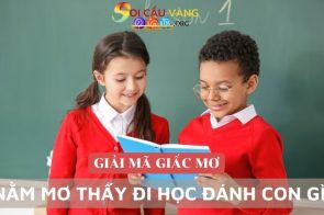 Nằm mơ thấy đi học đánh con gì? Có phải là điềm báo tốt không?