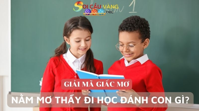 Nằm mơ thấy đi học đánh con gì hôm nay?