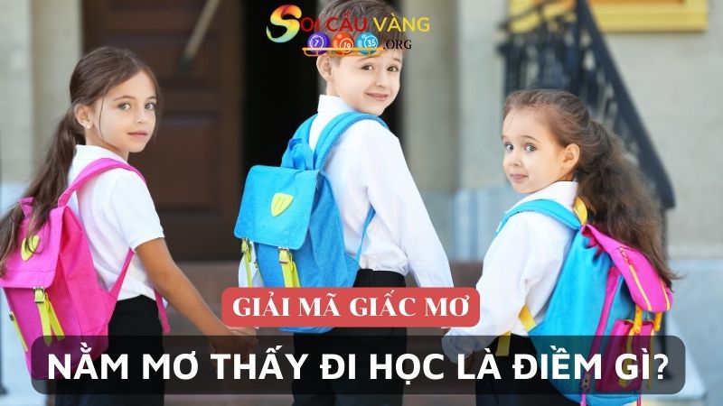 Nằm mơ thấy đi học là điềm gì?