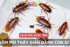 Nằm mơ thấy gián đánh con gì trúng lớn?