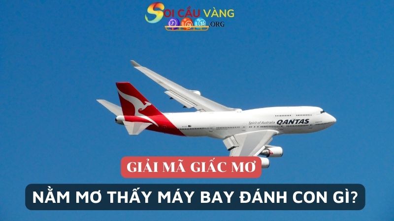 Nằm mơ thấy máy bay đánh con gì?