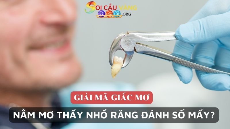 Nằm mơ thấy nhổ răng đánh số mấy trúng lô đề?