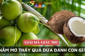 Giải mã giấc mơ thấy quả dừa đánh con gì chi tiết nhất