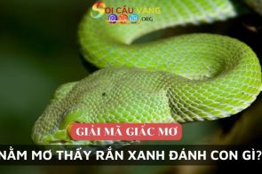 Nằm mơ thấy rắn xanh đánh con gì? Là điềm gì?