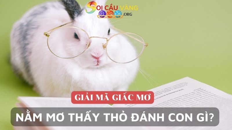 Nằm mơ thấy thỏ đánh con gì đem lại may mắn?