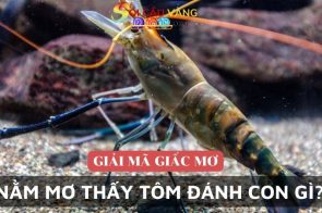 Nằm mơ thấy tôm đánh con gì dễ trúng đề nhất