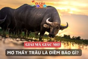 Nằm mơ thấy trâu đánh đề con gì? 