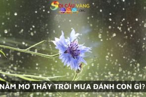 Nằm mơ thấy mưa có điềm báo gì? Đánh số mấy may mắn?