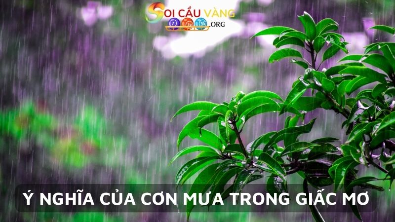 Ý nghĩa của cơn mưa trong giấc mơ