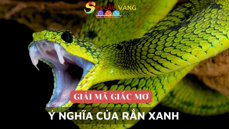 Ý nghĩa của rắn xanh