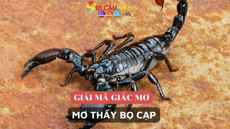 mơ thấy bọ cạp là điềm báo gì?