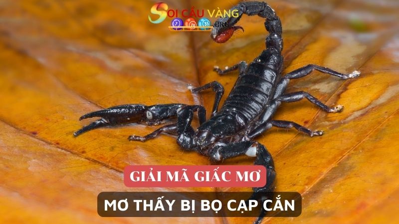 Mơ thấy bị bọ cạp cắn