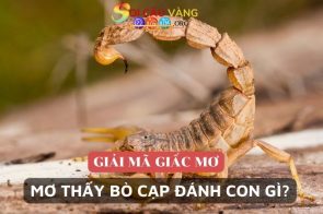 Giải mộng giấc mơ thấy bọ cạp là điềm gì? Đánh số mấy?