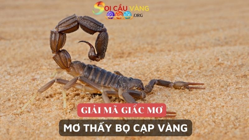 Mơ thấy bọ cạp vàng