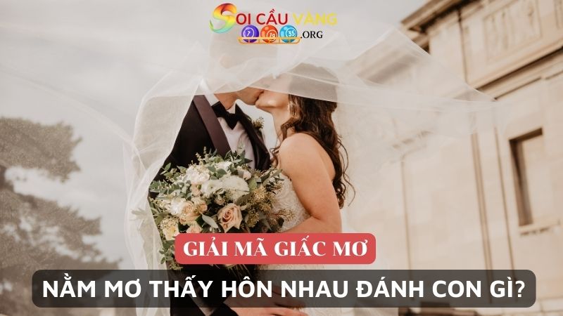 mơ thấy hôn nhau đánh con gì hôm sau?