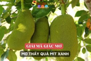 Nằm mơ thấy quả mít đánh đề con gì ăn to?