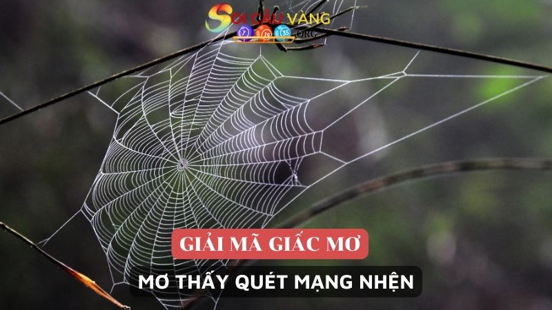 Mơ thấy quét mạng nhện