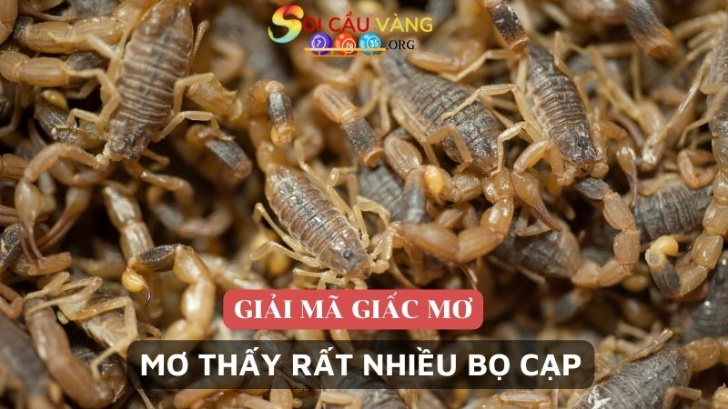 Mơ thấy rất nhiều bọ cạp