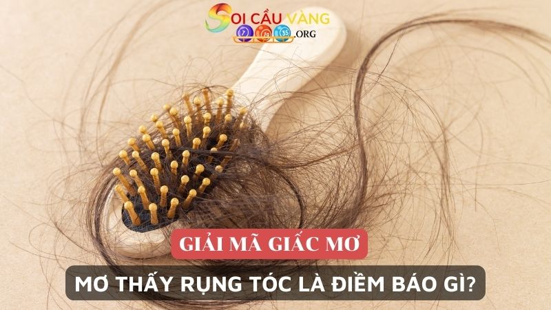 Mơ thấy rụng tóc là điềm báo gì?