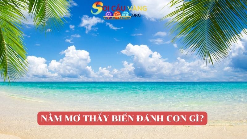 Nằm mơ thấy biển đánh con gì trúng số?