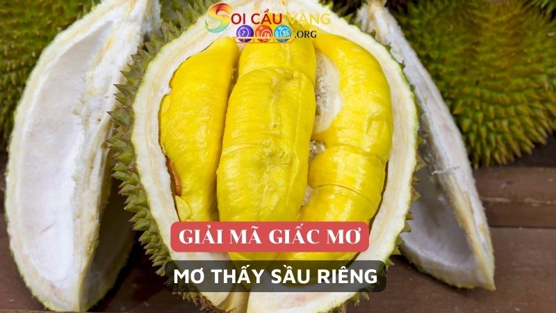 Mơ thấy sầu riêng có phải điềm tốt lành không? 