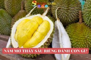 Nằm mơ thấy sầu riêng là điềm báo gì? Đánh con gì?