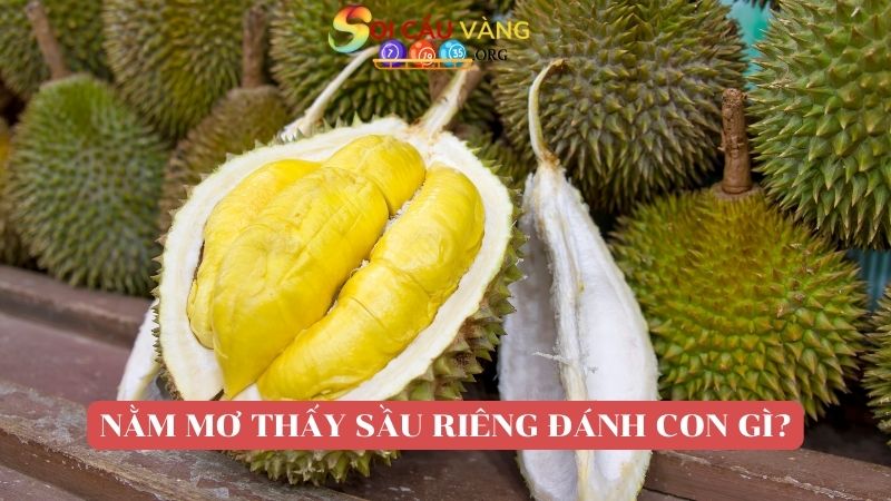 Nằm mơ thấy trái sầu riêng đánh con gì?