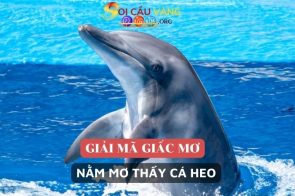 Con cá heo số mấy? Nằm mơ thấy cá heo đánh con gì trúng đề?