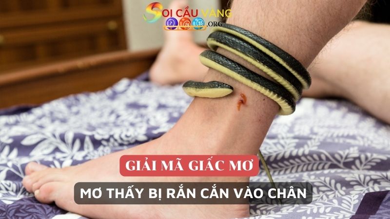 Mơ thấy bị rắn cắn vào chân