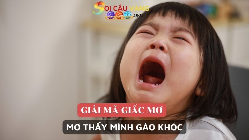 Mơ thấy mình gào khóc