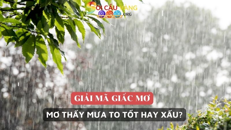 Mơ thấy mưa to tốt hay xấu?