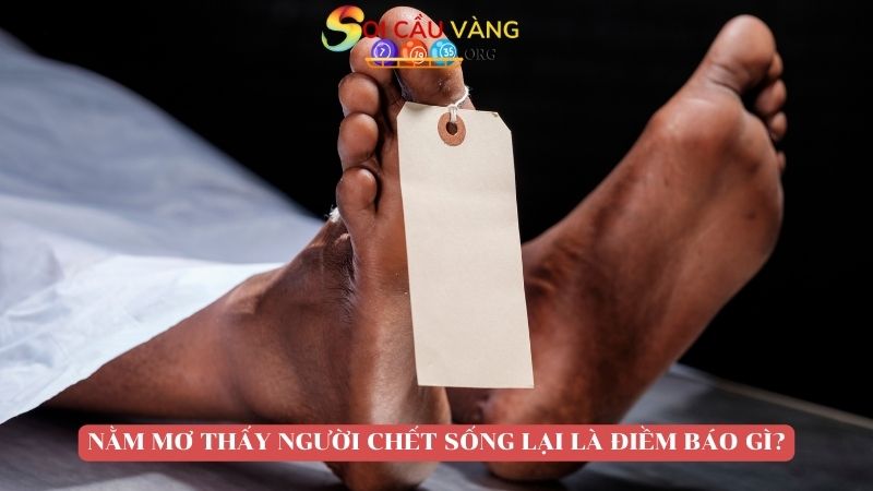 mơ thấy người chết sống lại đánh con gì?