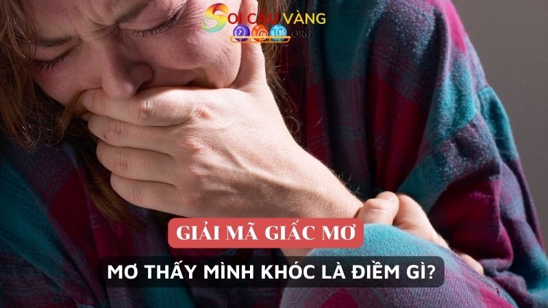 Nằm mơ thấy mình khóc là điềm gì?