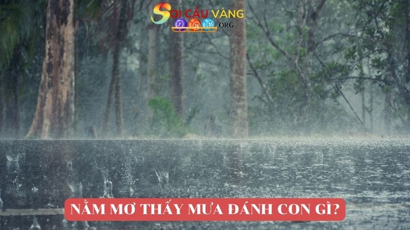 Nằm mơ thấy mưa đánh con gì may mắn?