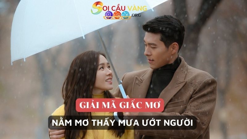 Nằm mơ thấy mưa ướt người