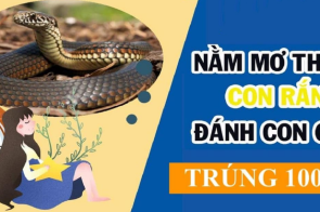 Sổ mơ rắn cắn – Tìm hiểu các con số may mắn liên quan