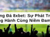 Bóng Đá 8xbet: Sự Phát Triển Đồng Hành Cùng Niềm Đam Mê