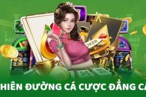 Điểm qua Top 10 nhà cái uy tín 2025 – Cá cược an toàn, minh bạch