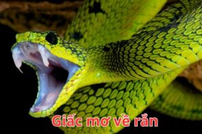 Giải Thích Các Trường Hợp Thường Gặp Khi Mơ Về Rắn